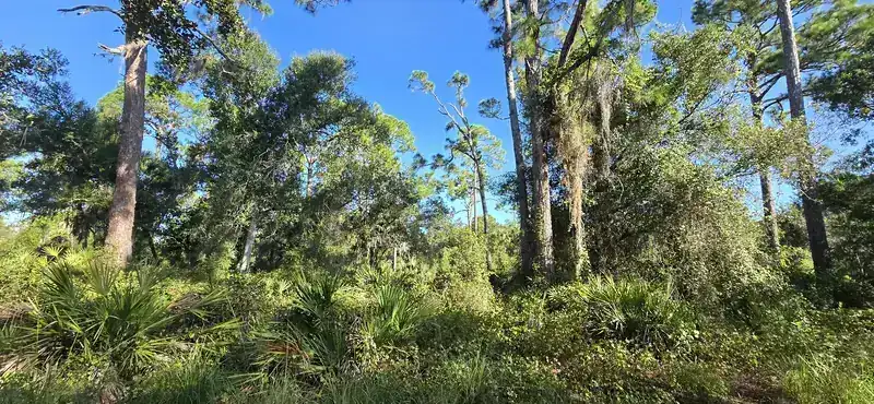Trails and preserves around Wellen Park and Venice